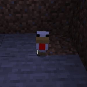 Meet your Posher, Felix